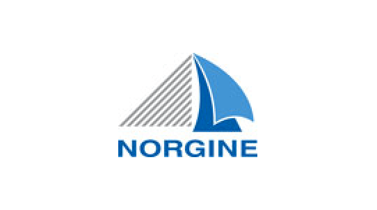 logo-norgine@2x